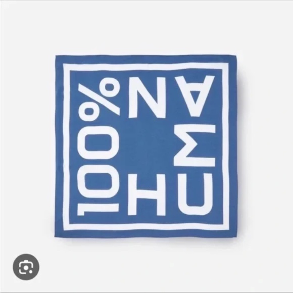 Everlane 100 Human BlueWhite Silk Bandana Scarf
